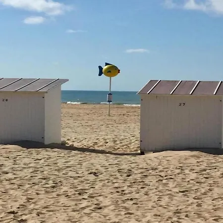 Penthouse In Belgium With Marina Views