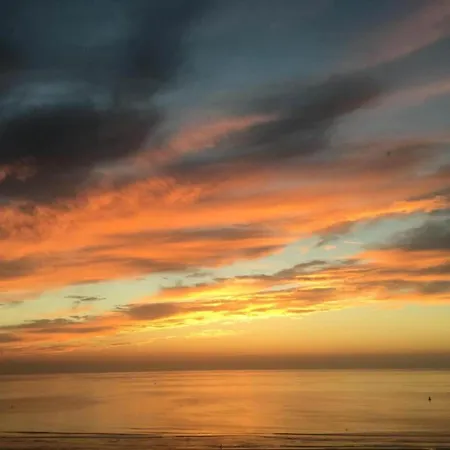 Penthouse In Belgium With Marina Views Lejlighed