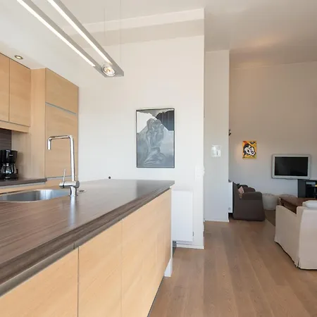 Penthouse In Belgium With Marina Views