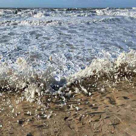 Apartamento Penthouse In Belgium With Marina Views Ostend